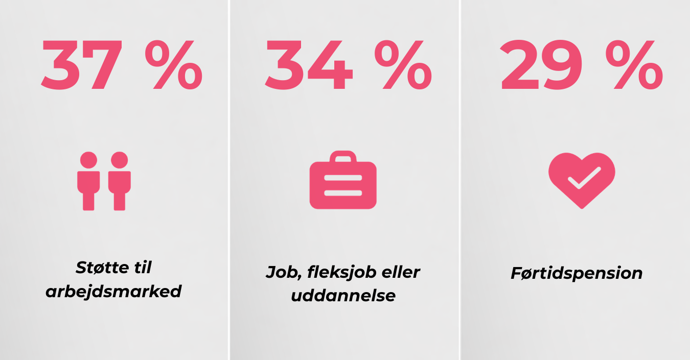 Effekten af SOVI’s beskæftigelsesindsatser